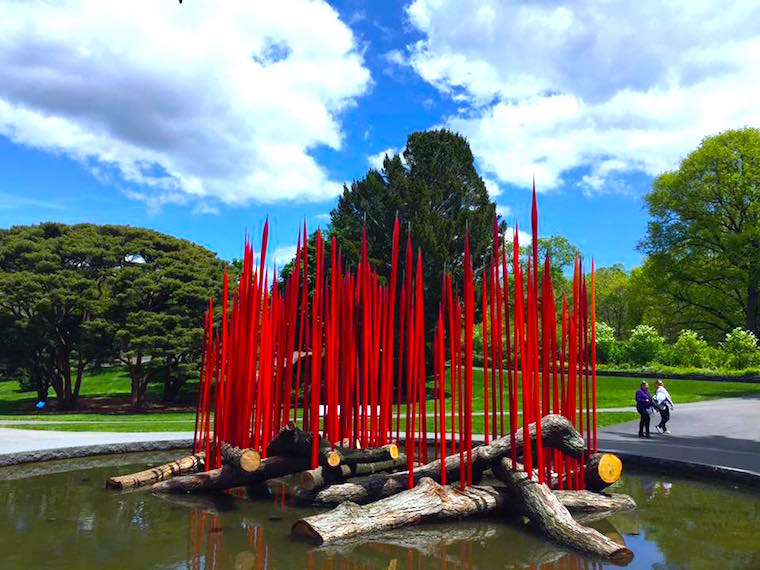 chihuly-nybg-exhibit