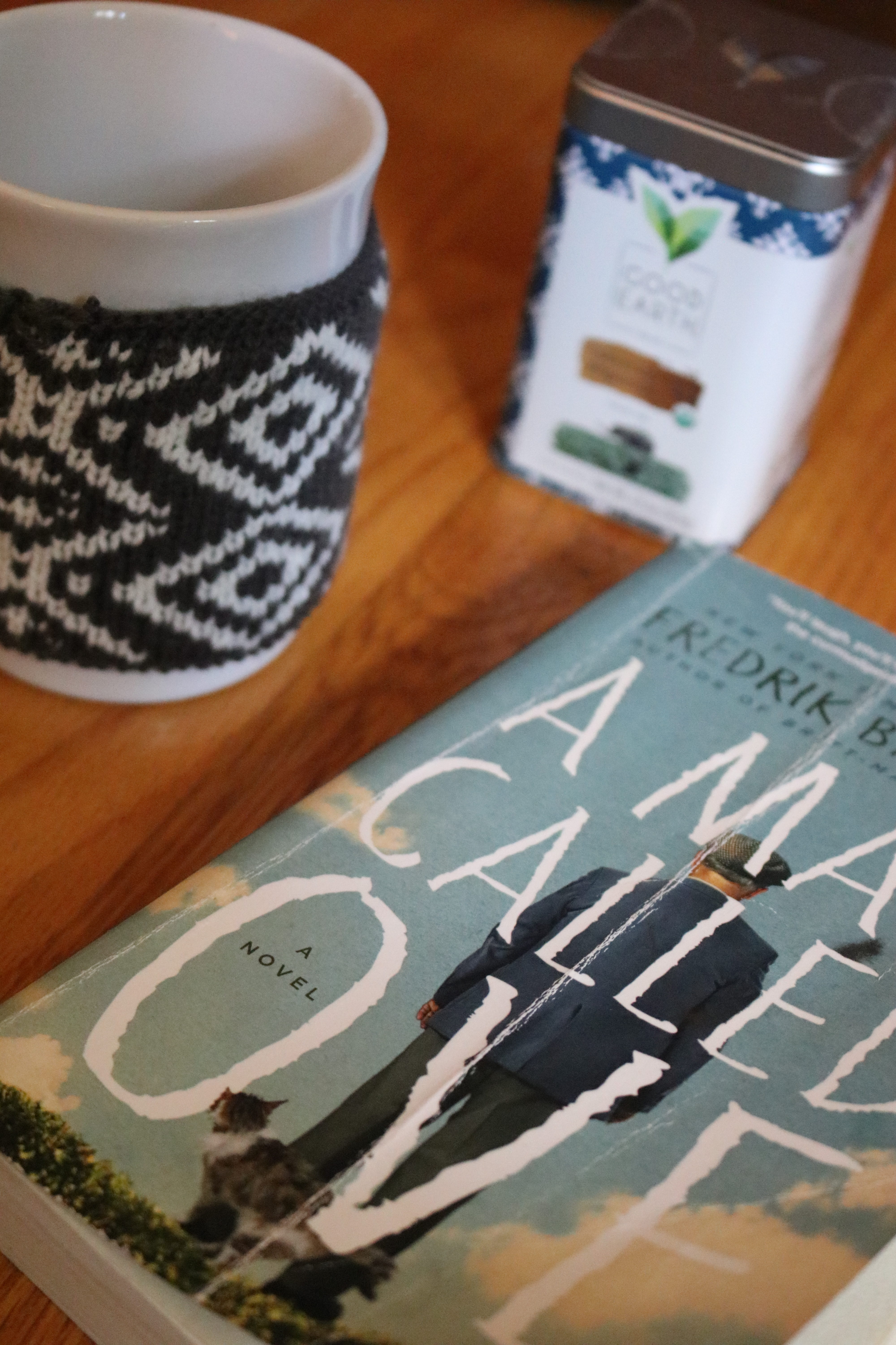 Book Review – A Man Called Ove by Fredrik Backman