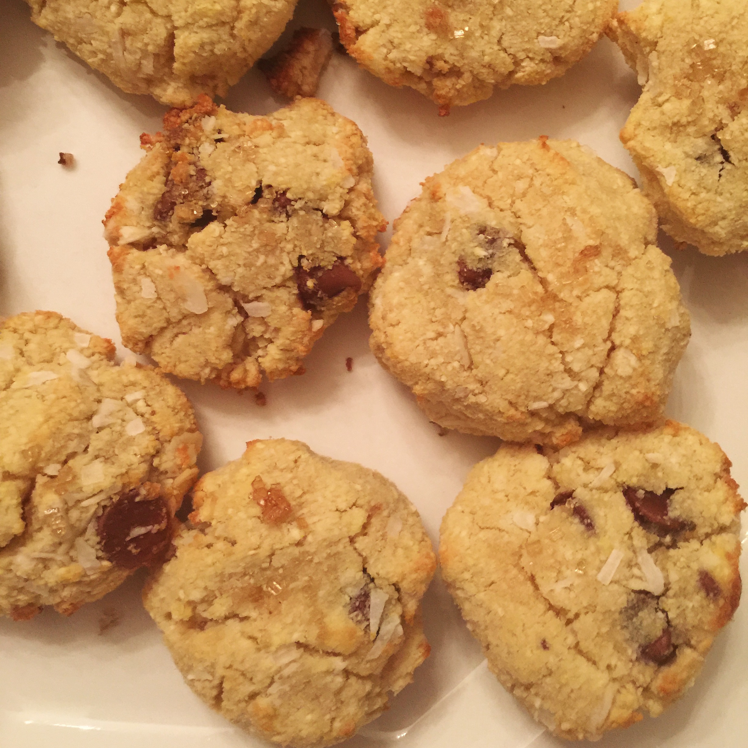 Healthy Coconut Chocolate Chip Protein Cookies (GF // V)