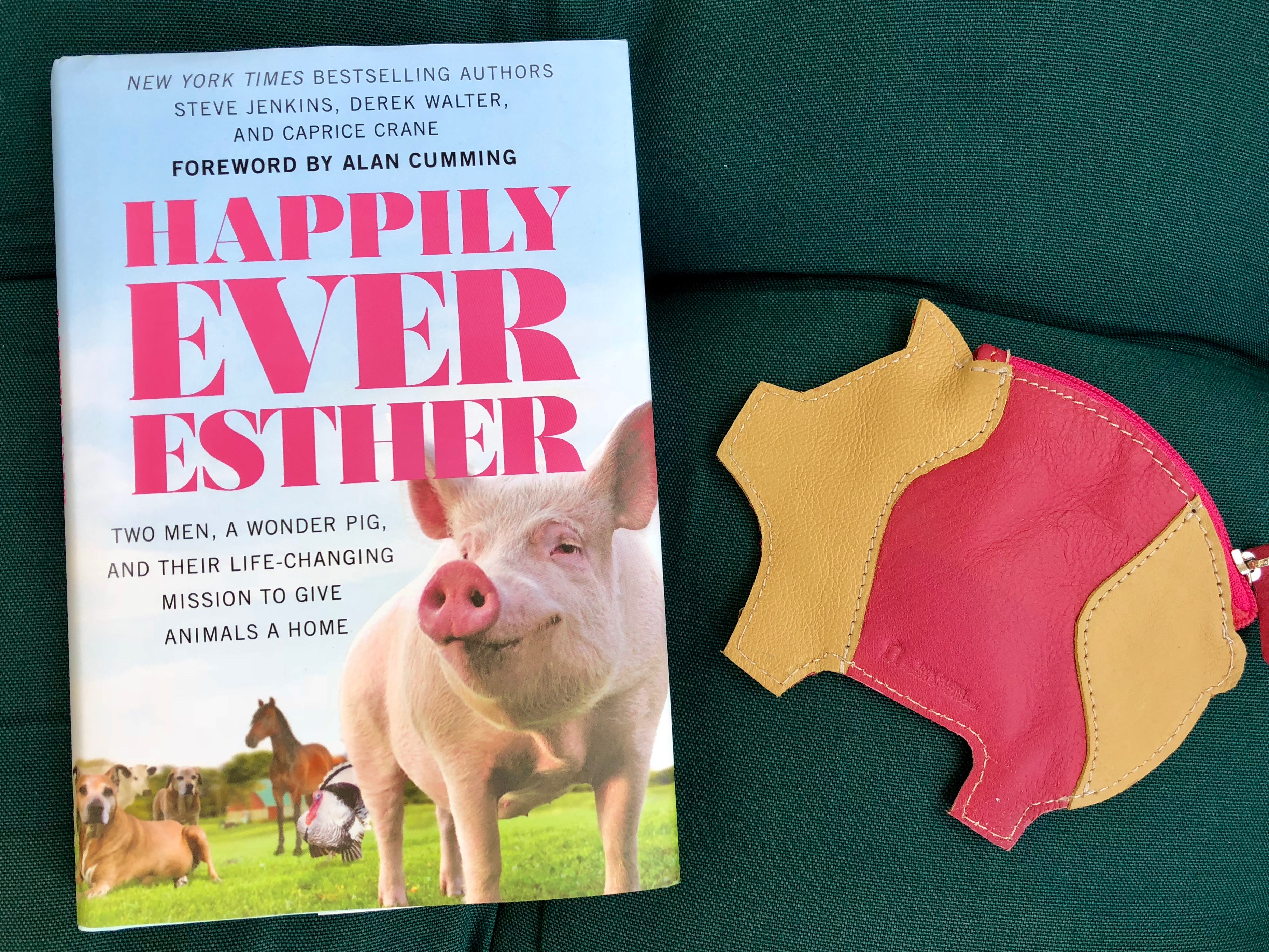 Book Review: Happily Ever Esther by Steve Jenkins and Derek Walter